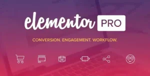 Elementor PRO plugin