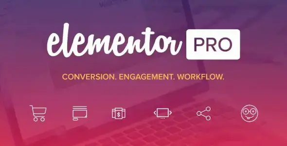 Elementor PRO plugin