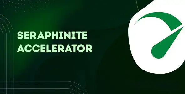 Seraphinite Accelerator download
